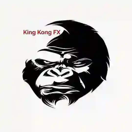 KINGKONG FX