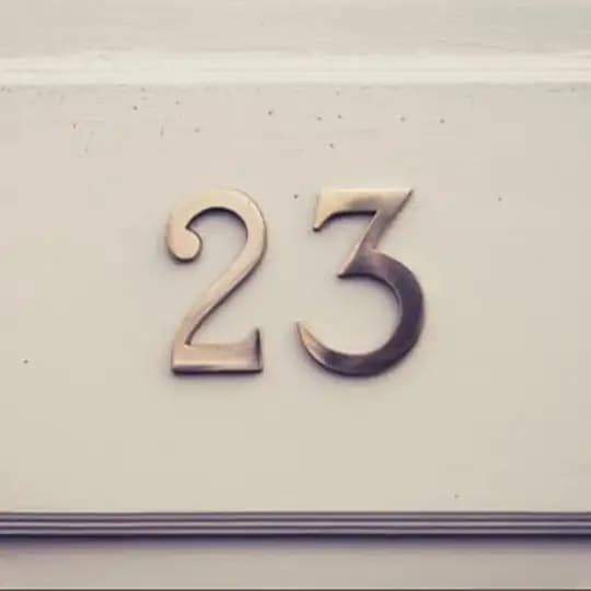 Комната 23