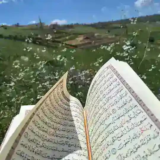 قصص الانبياء | رحلتي 🍃