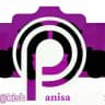 کیش کالای پانیسا