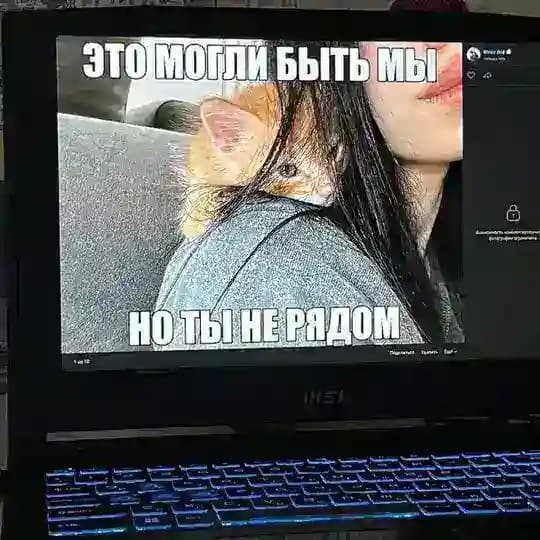 Китьки 🐾