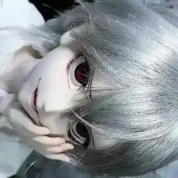 китонин 彡 Profile