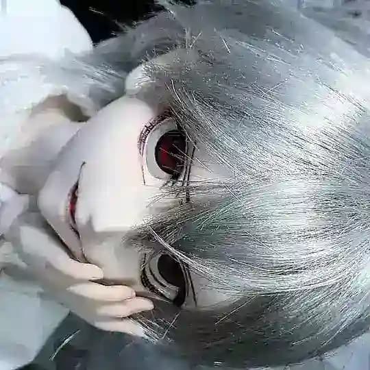 китонин 彡 Profile