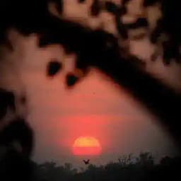 কী ভাবছে বাংলাদেশ? Profile