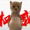 康杰大杂烩引导群