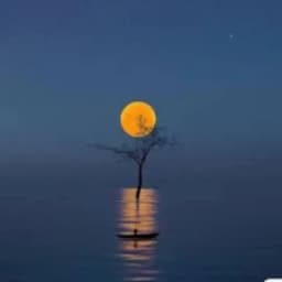 盛煌 星辉 耀世 世纪 万泰 开丰 Profile