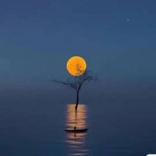 盛煌 星辉 耀世 世纪 万泰 开丰