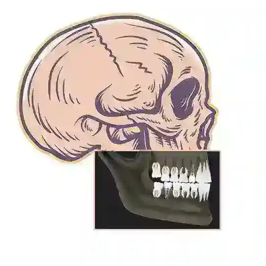Dr. Mengütaş Klinik Cerrahi