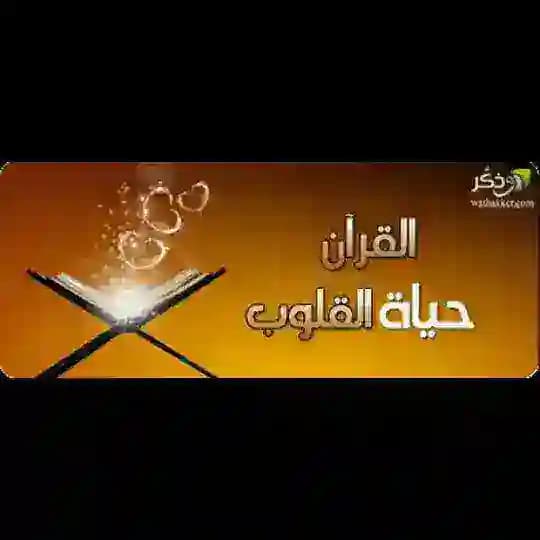 🧡القرآن حياة القلوب🧡