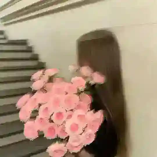 الوكيله نورس
