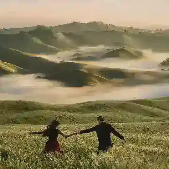 🪼Lily Cp pf &solo pf🪼 Profile