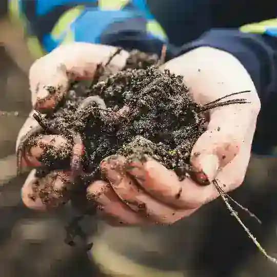 Kompost&Liebe 🌱 Der Permakultur Garten Kanal