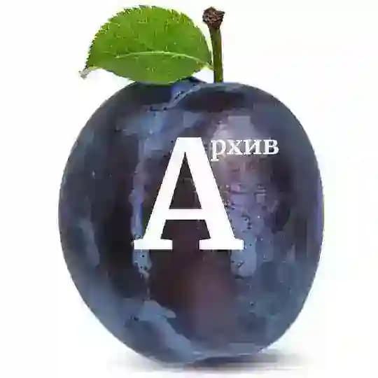 Конструктив Архив Profile