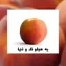 آرشیو ۱۴۰۴