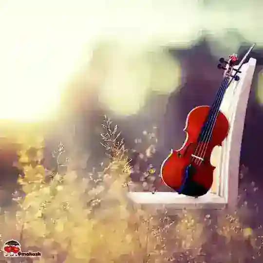 🎻کورد ـ موزیک🎸