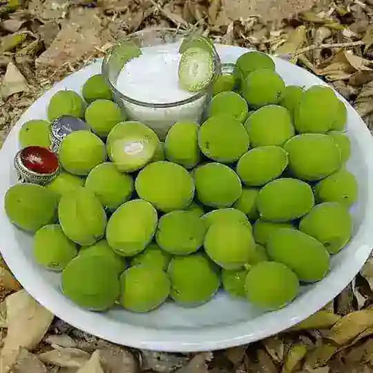 کردی شاد 2019😍