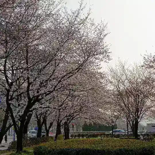 Мир глазами Азама: Корея