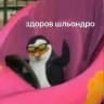 дурка кори