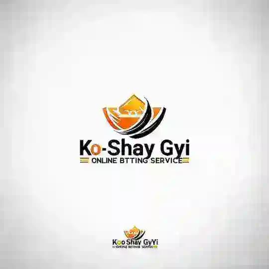 Ko Shay Gyi Pro Tip