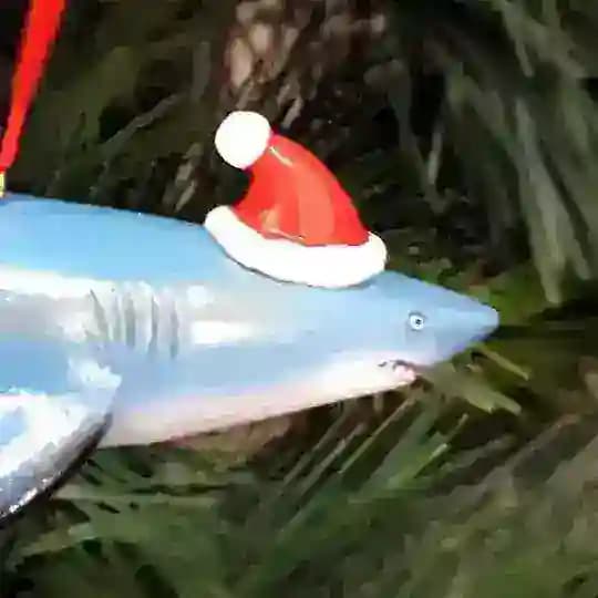 Зух moment🦈🐊