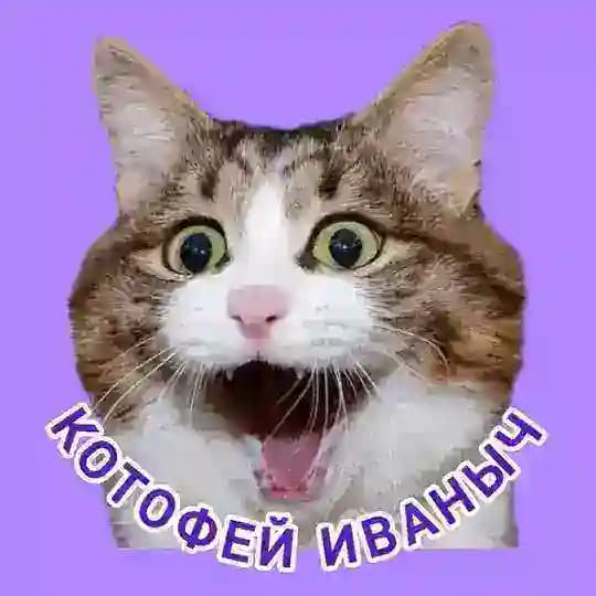 КОТОФЕЙ💜ИВАНЫЧ