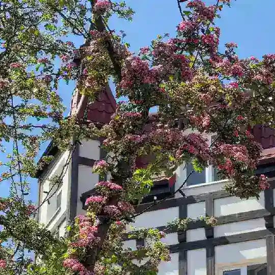 Гид Ксения Жукова КАЛИНИНГРАД