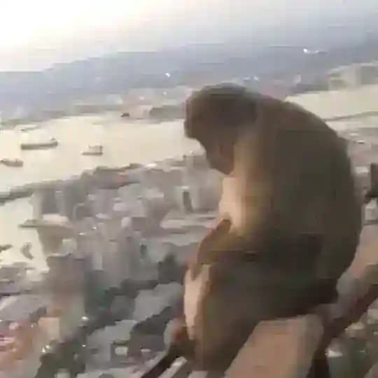 مره واحد كردي