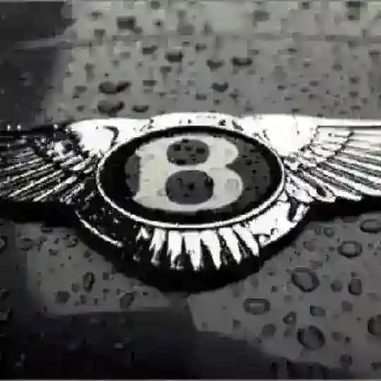 🔥🔥网赚快钱项目🔥🔥 Profile