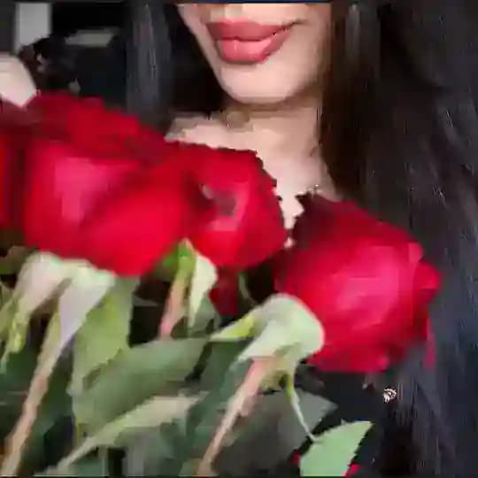 𝓟𝓪𝓻𝓲𝓼𝓸🐆