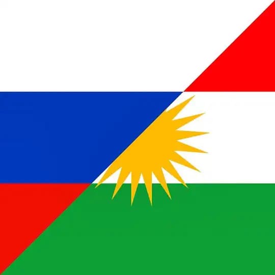 کوردانی ڕووسیا ☀️🇷🇺 Profile
