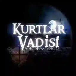Kurtlar Vadisi Müzikleri Profile