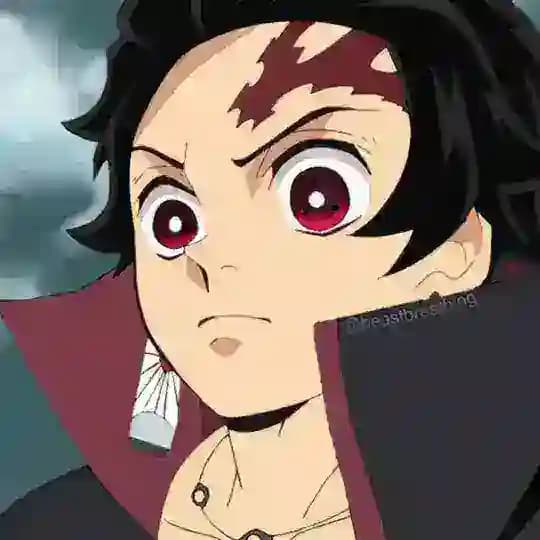 Demon Slayer / Kimetsu No Yaiba