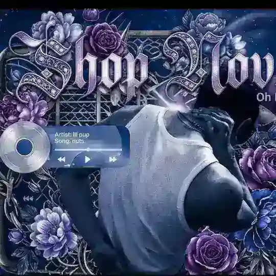 Shop Noveli