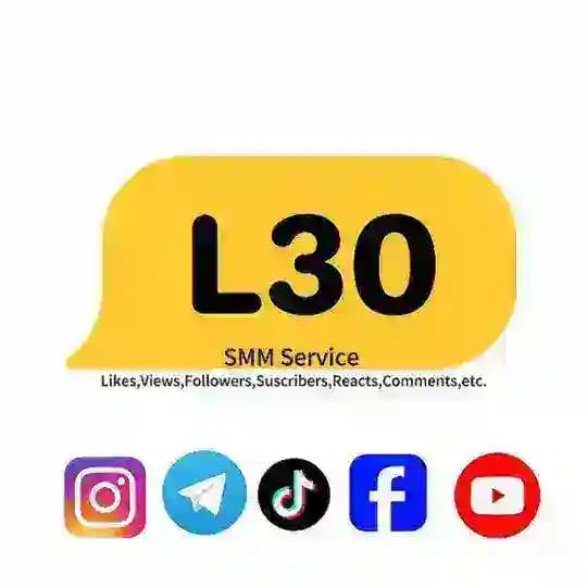 L3O SMM 2.0