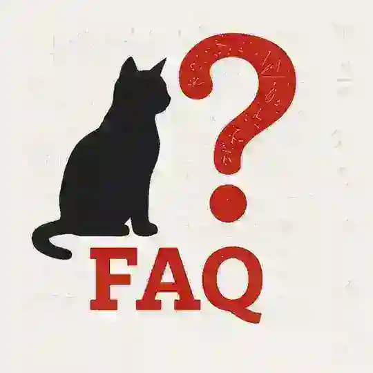 L9RAY | FAQ