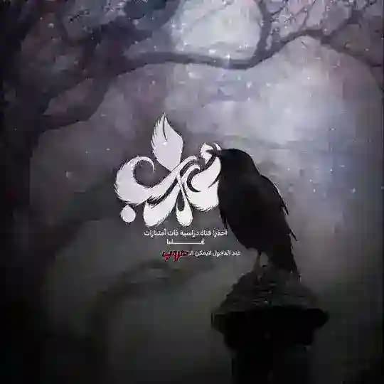 الغراب | crow