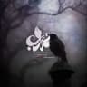 الغراب | crow