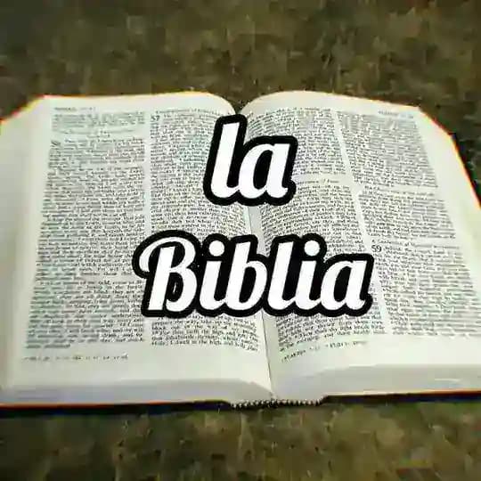 ʟᴀ ʙɪʙʟɪᴀ📖