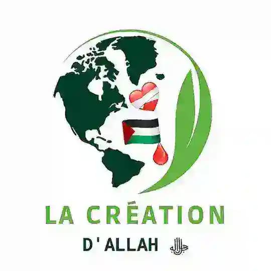 LA CRÉATION D'ALLAH ﷻ Profile