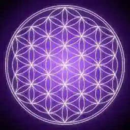 Metafísica Yo Soy Profile