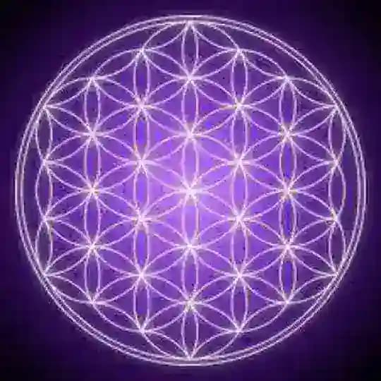 Metafísica Yo Soy Profile