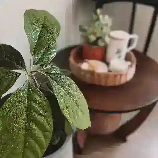@lana_home