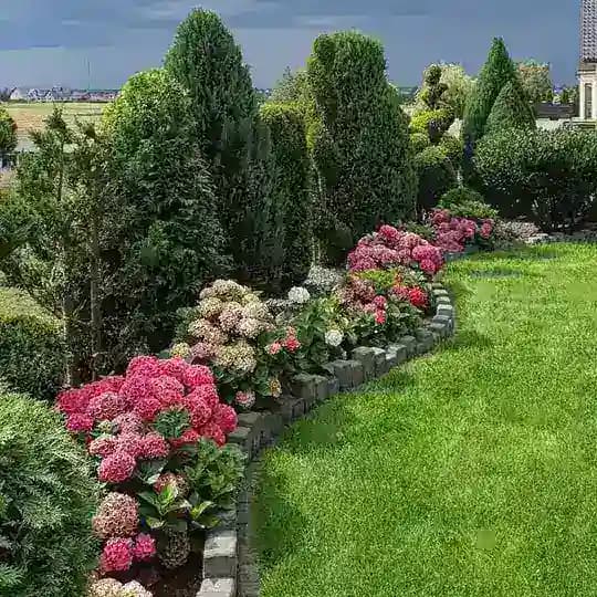 Ландшафтный дизайн | Садоводство