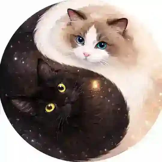 Кот и Кошка | Ландыш и Афина