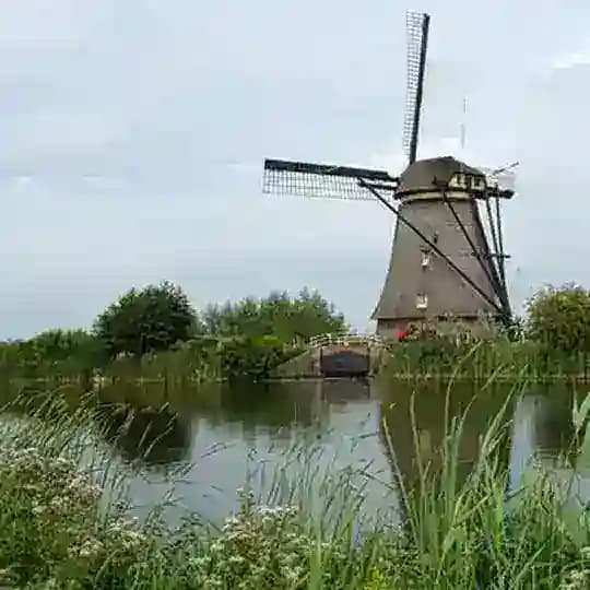 Felemenkçe (Dutch Practice)