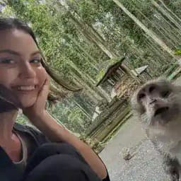 Ланістер показує Profile