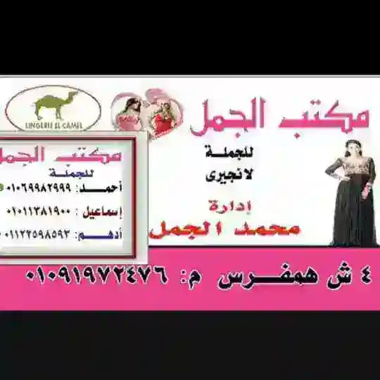 لانچري الجمل🐫 Profile