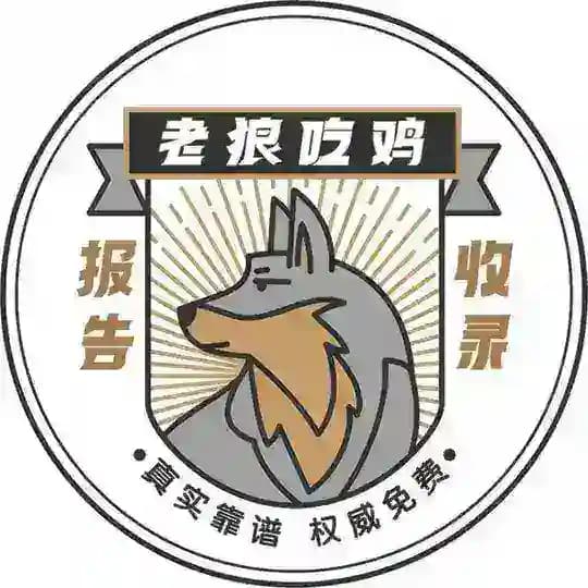 成都老狼修车报告