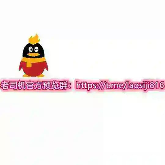 老司机导航站（按提示操作） Profile