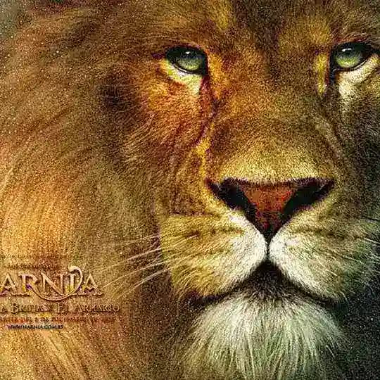 Las Crónicas de Narnia películas completas